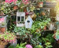 birdhouse nestles among flowers Royalty Free Stock Photo