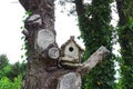 Birdhouse on old tree. Birdhouse in the garden Royalty Free Stock Photo