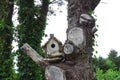 Birdhouse on old tree. Birdhouse in the garden Royalty Free Stock Photo