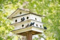 Birdhouse in outdoor national park in summer