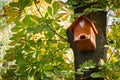 Birdhouse in the park