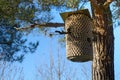 Birdhouse on a pine tree Royalty Free Stock Photo