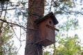 Birdhouse on a pine tree. A small birdhouse, designed for passerines.