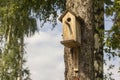 Birdhouse on a pine tree in the Park Royalty Free Stock Photo