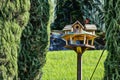 Birdhouse between pine trees