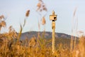 Birdhouse in a post, in the wetlands natural park La Marjal in Pego and Oliva