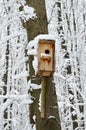 Birdhouse, protection from cold and bad weather for birds