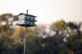 Birdhouse for Purple Martins