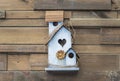 Birdhouse or roost box on the wooden wall of a building Royalty Free Stock Photo