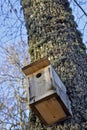 Birdhouse in a small and old park