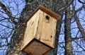 Birdhouse in a small and old park