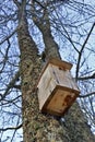 Birdhouse in a small and old park