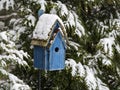 Birdhouse In Snow