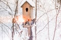 Birdhouse with snow in a winter cold forest and a pigeon bird Royalty Free Stock Photo