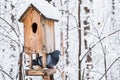 Birdhouse with snow in a winter cold forest and a pigeon bird Royalty Free Stock Photo