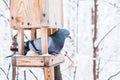 Birdhouse with snow in a winter cold forest and a pigeon bird Royalty Free Stock Photo