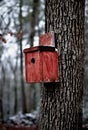 A birdhouse stands ready to receive nesting birds in this winter forest scene