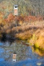 Birdhouse in Swamp Area with Reflection Royalty Free Stock Photo