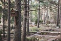 Birdhouse on a thick tree painted with red paint.