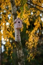 Birdhouse on tree