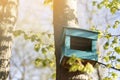Birdhouse on a tree. A blue birdhouse is hung on a birch