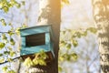 Birdhouse on a tree. A blue birdhouse is hung on a birch