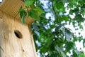 Birdhouse on a tree close-up. Caring for birds and the environment. Bird feeders. Support for birds and animals