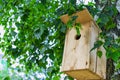 Birdhouse on a tree close-up. Caring for birds and the environment. Bird feeders. Support for birds and animals