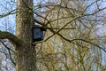 Birdhouse on a tree in early spring. Closeup