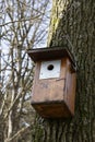 Birdhouse Royalty Free Stock Photo