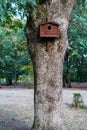 Birdhouse tree house for birds