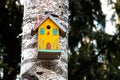 Birdhouse on a tree I Royalty Free Stock Photo