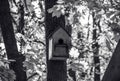 Birdhouse on a tree monochrome