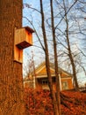 Birdhouse on tree near building during sunset Royalty Free Stock Photo