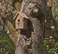 Birdhouse on the tree