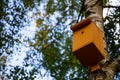 Birdhouse on the tree in the park