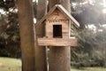 Welcome bird house in the woods on the tree