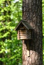 Birdhouse on a tree in the park in spring, birdhouse handmade for birds