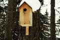 birdhouse tree snow close-up outdoors day winter Royalty Free Stock Photo