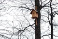 A birdhouse on a tree