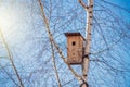 Birdhouse on a tree in spring Royalty Free Stock Photo