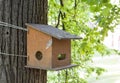 Birdhouse on the tree in spring day. nature. Royalty Free Stock Photo