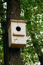 Birdhouse on a tree in the spring forest. House for starlings. Wooden white nesting box