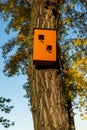 Birdhouse on tree at springtime. Branch of fruit tree with bird house Royalty Free Stock Photo