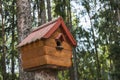 A birdhouse on a tree, a squirrel house, a wooden birdhouse made of small logs. Handmade. Save the animals Royalty Free Stock Photo