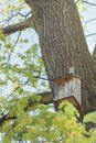 Birdhouse on a tree