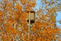 Birdhouse on a tree with yellow foliage