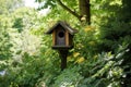 a birdhouse with a treetop view, surrounded by lush greenery