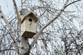 Birdhouse on truncated birch tree stem in early spring