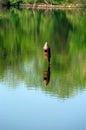 Birdhouse in water Royalty Free Stock Photo